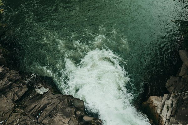 Explorations En Famille