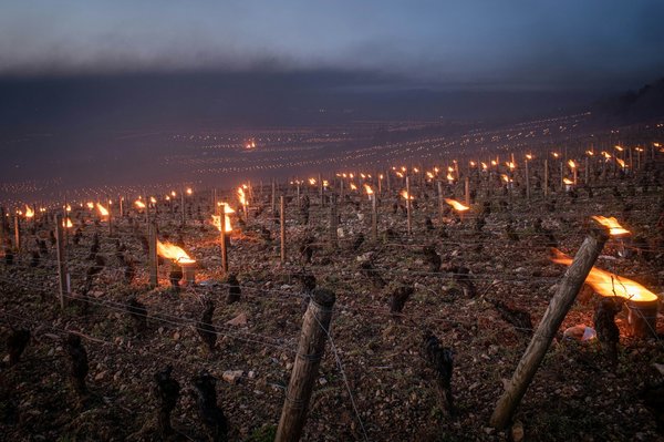 Comment planifier un circuit de découverte des vignobles en Toscane, Italie?